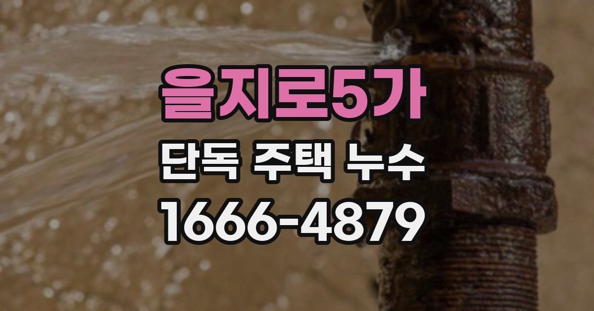 을지로5가 단독 주택 누수