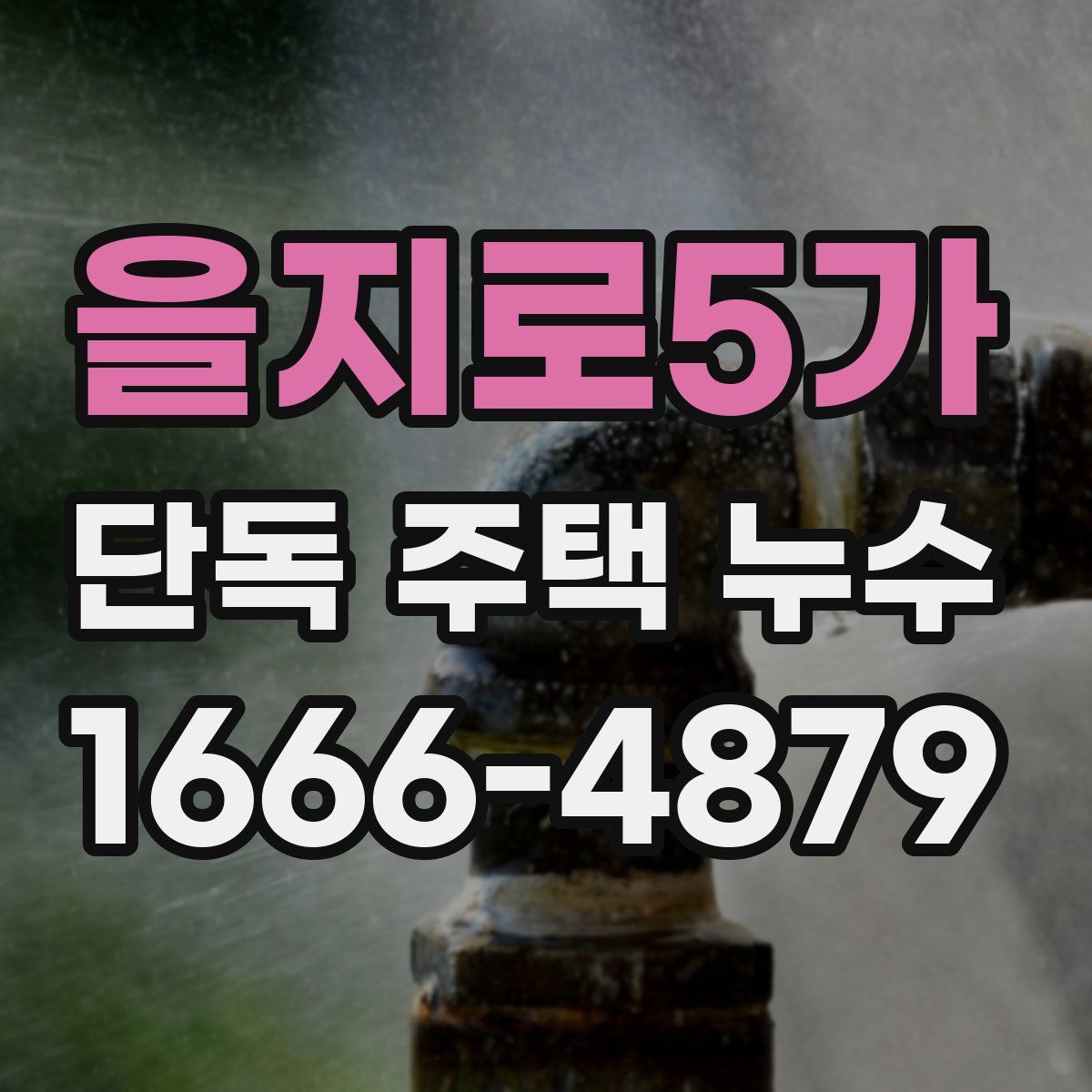 을지로5가 단독 주택 누수