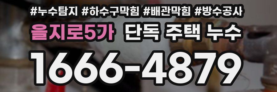 을지로5가 단독 주택 누수