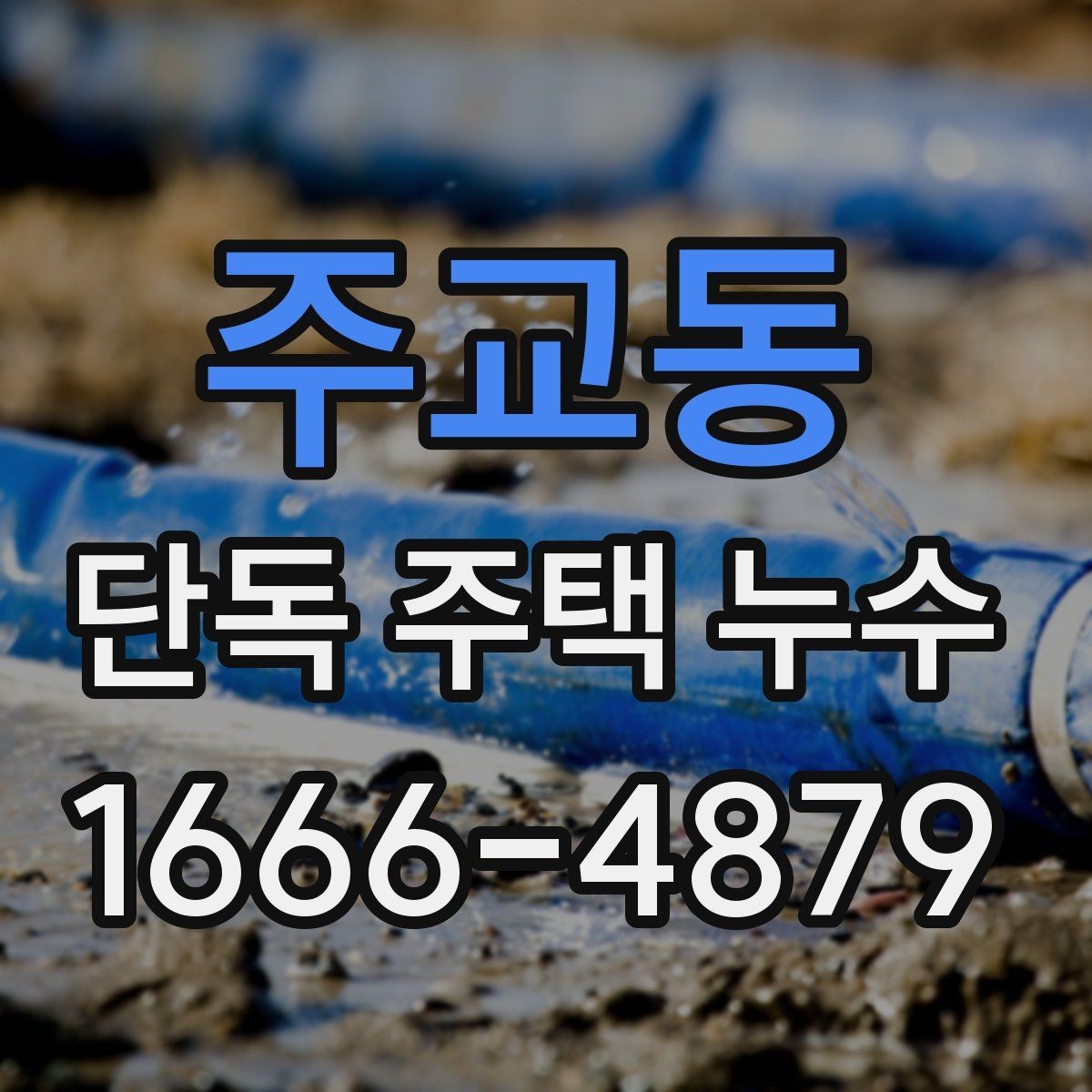 주교동 단독 주택 누수 초기 증상과 대처 방법