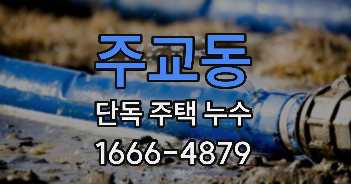 주교동 단독 주택 누수