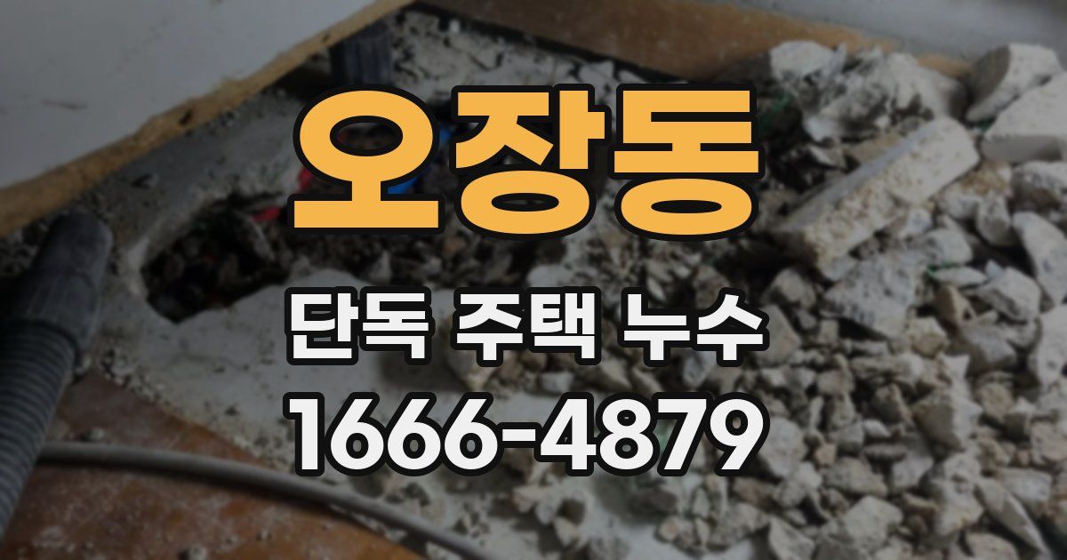 오장동 단독 주택 누수