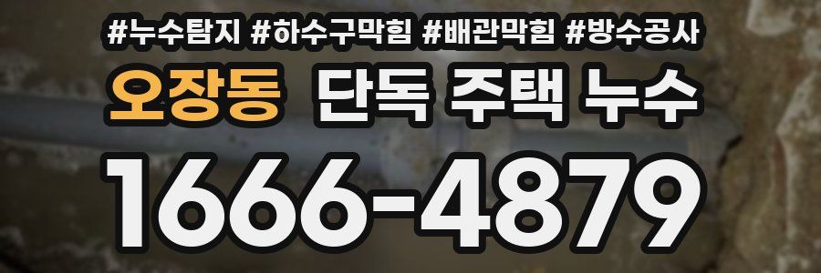 오장동 단독 주택 누수