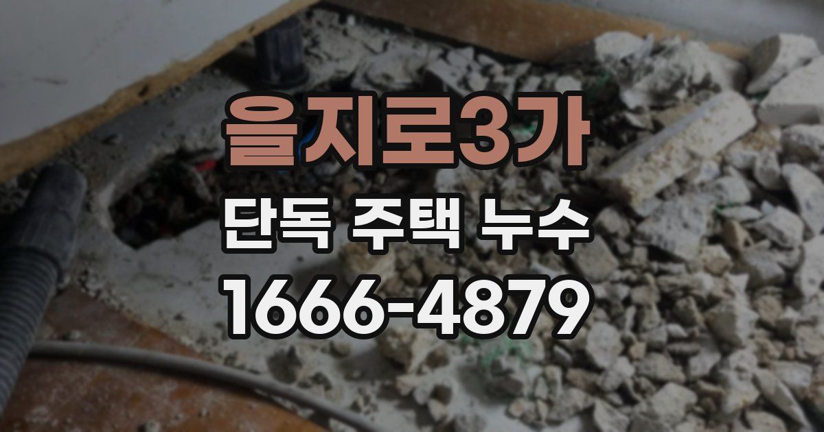 을지로3가 단독 주택 누수