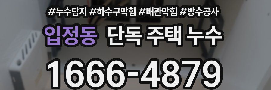 입정동 단독 주택 누수