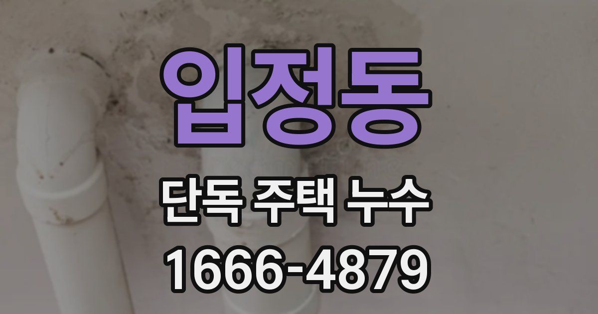 입정동 단독 주택 누수