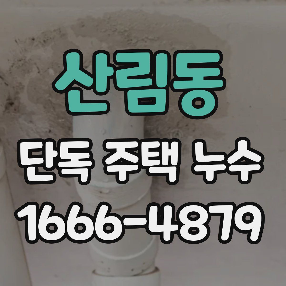 산림동 단독 주택 누수