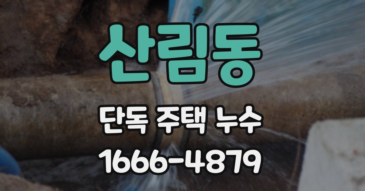 산림동 단독 주택 누수