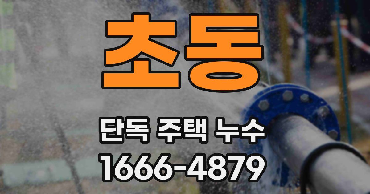 초동 단독 주택 누수