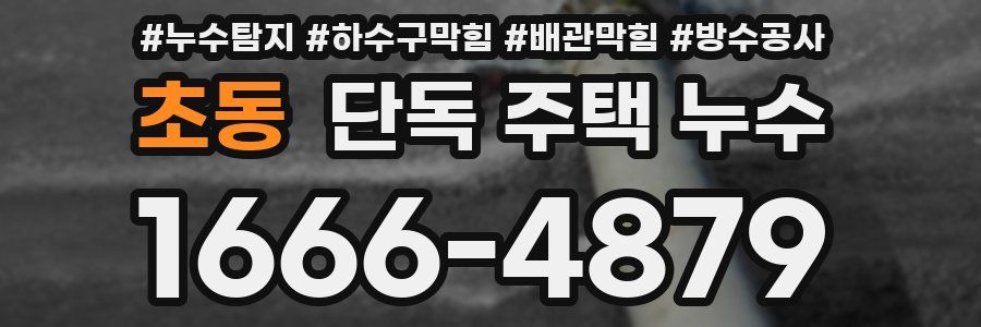 초동 단독 주택 누수
