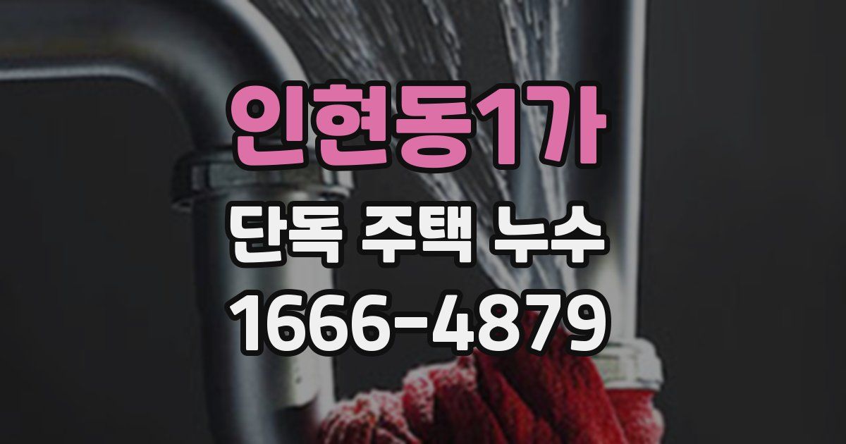 인현동1가 단독 주택 누수