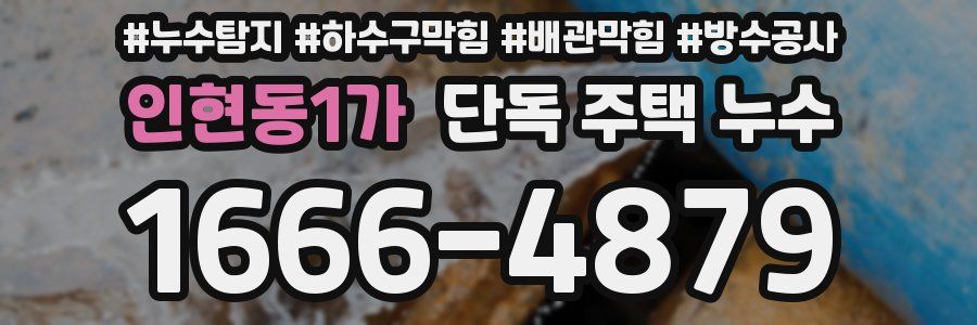 인현동1가 단독 주택 누수