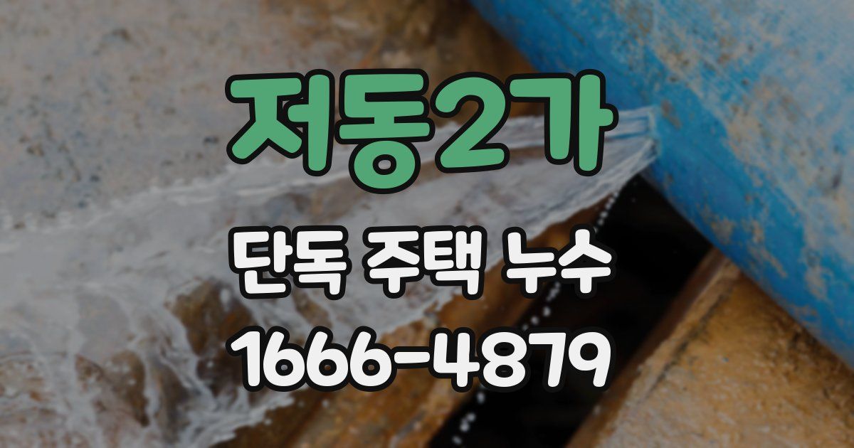 저동2가 단독 주택 누수