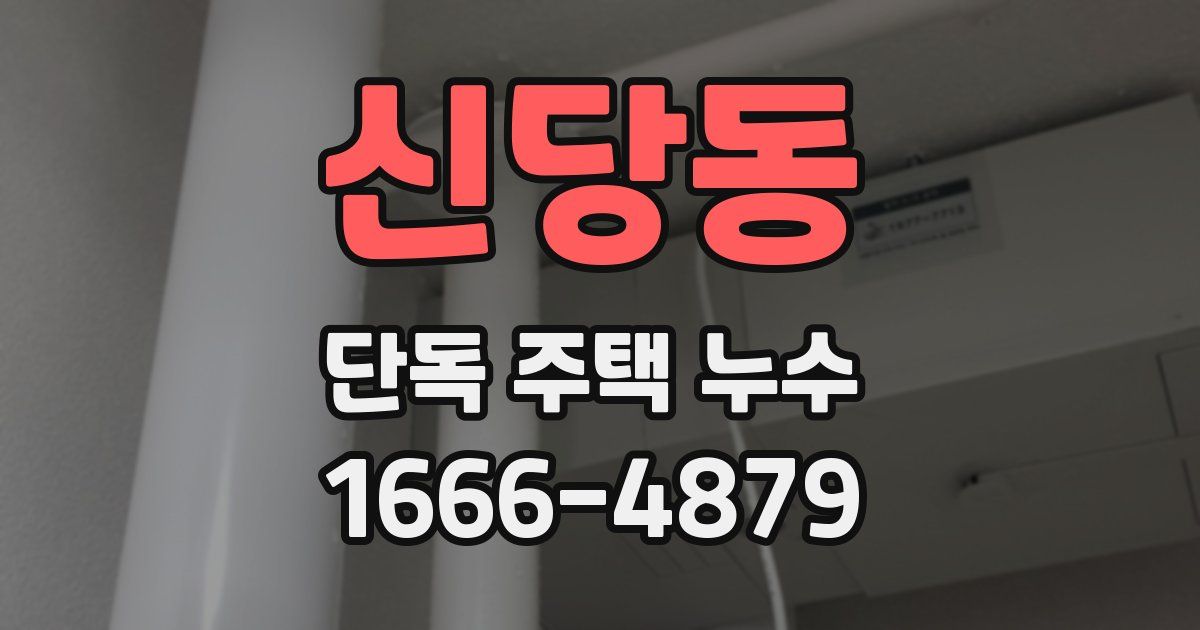 신당동 단독 주택 누수