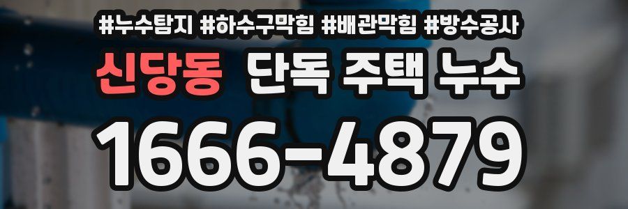 신당동 단독 주택 누수
