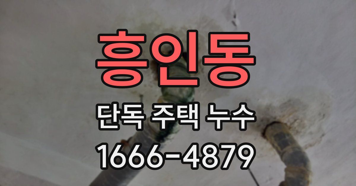 흥인동 단독 주택 누수