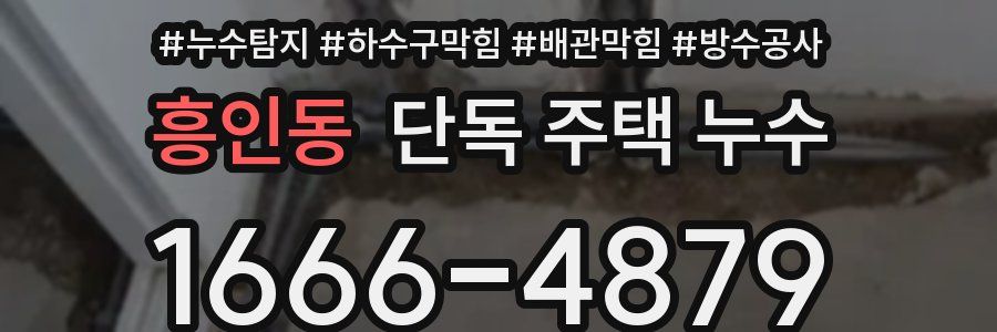 흥인동 단독 주택 누수