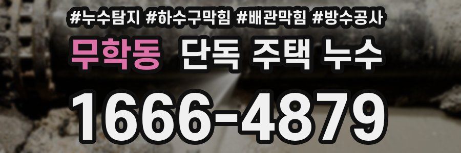 무학동 단독 주택 누수
