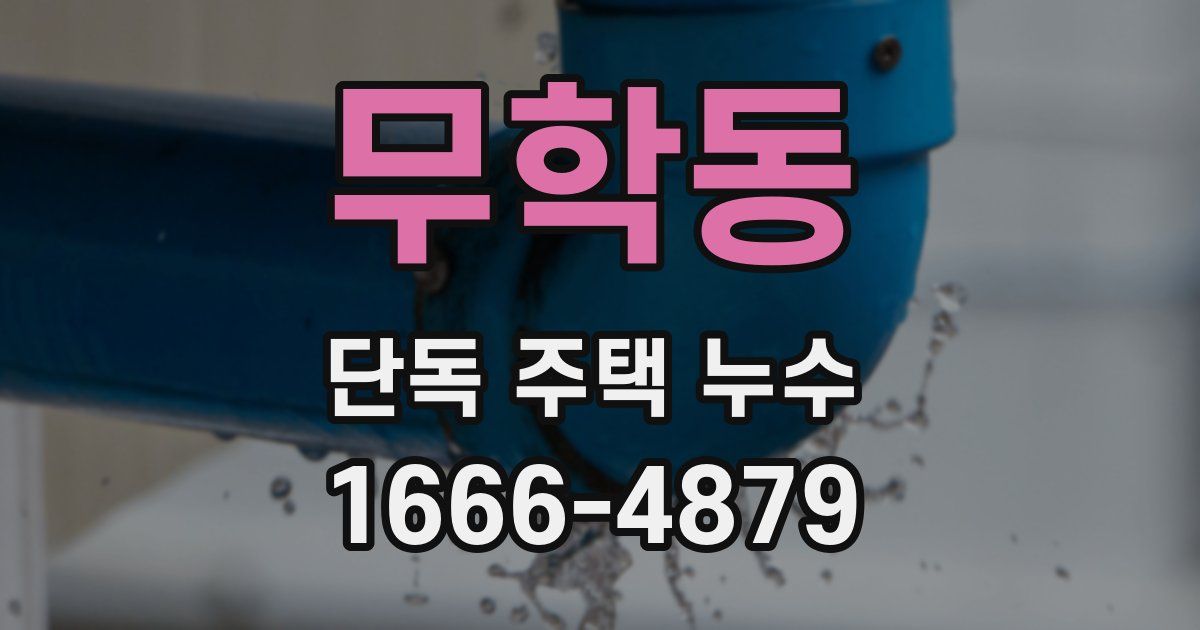 무학동 단독 주택 누수