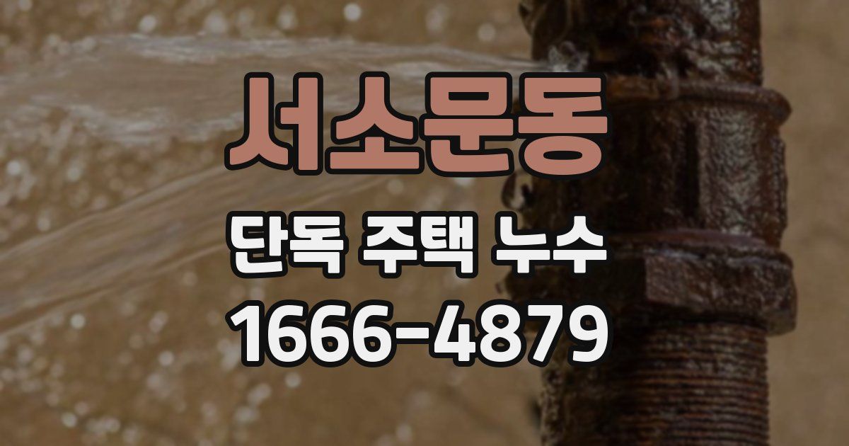서소문동 단독 주택 누수