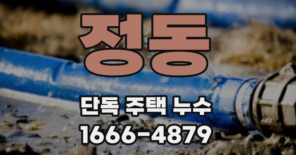 정동 단독 주택 누수