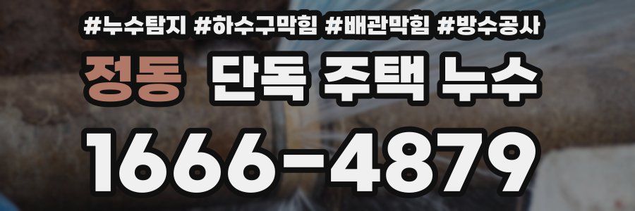 정동 단독 주택 누수