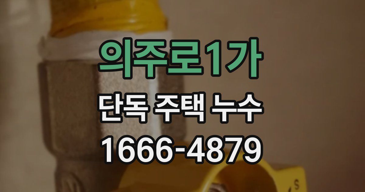 의주로1가 단독 주택 누수