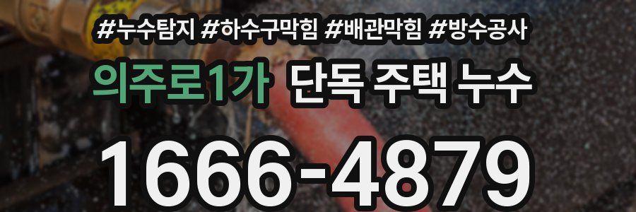 의주로1가 단독 주택 누수