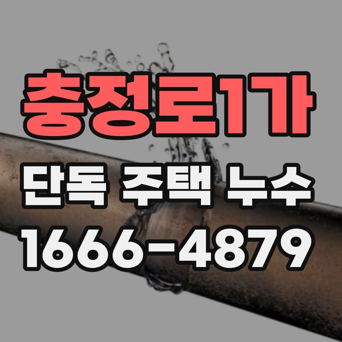 충정로1가 단독 주택 누수