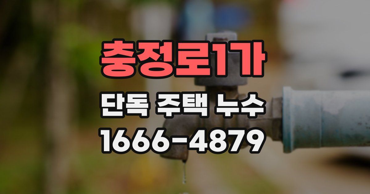 충정로1가 단독 주택 누수