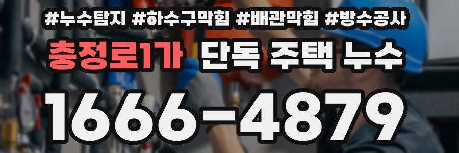 충정로1가 단독 주택 누수