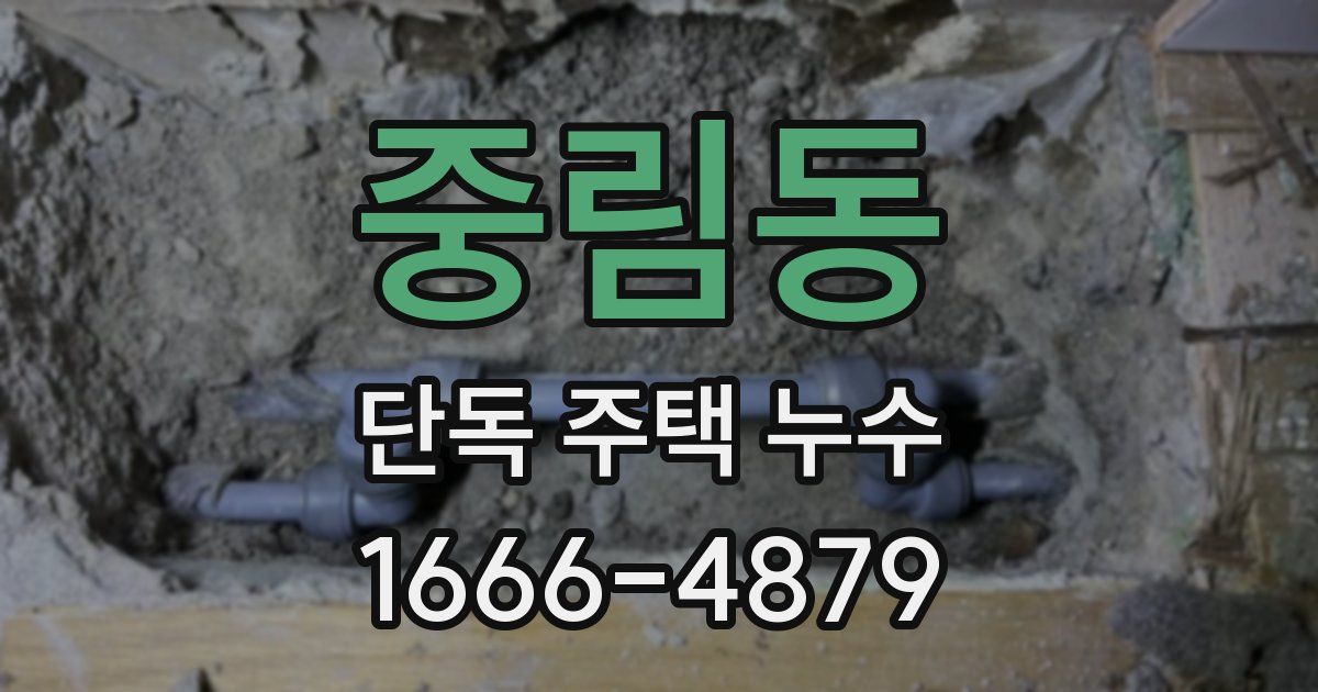 중림동 단독 주택 누수
