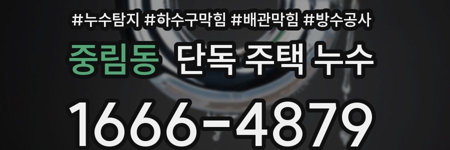 중림동 단독 주택 누수