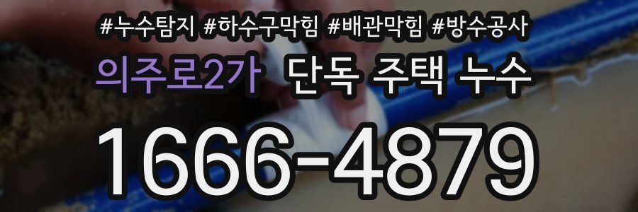 의주로2가 단독 주택 누수