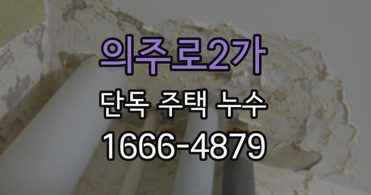 의주로2가 단독 주택 누수