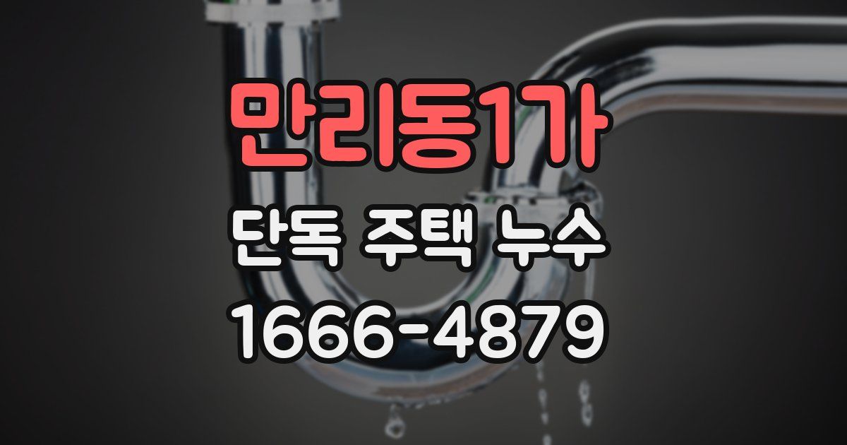 만리동1가 단독 주택 누수