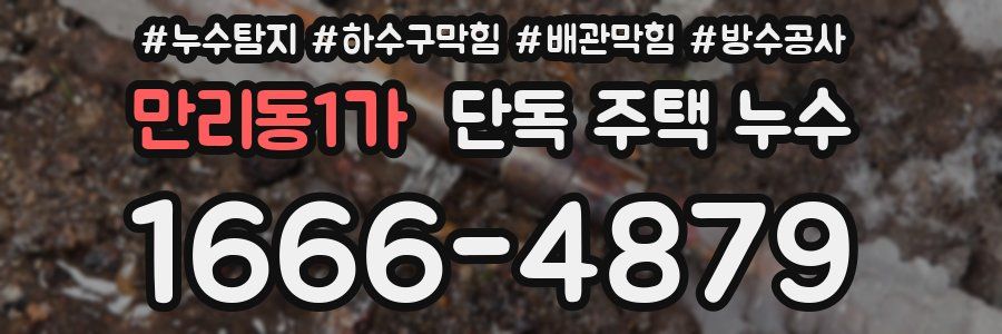 만리동1가 단독 주택 누수