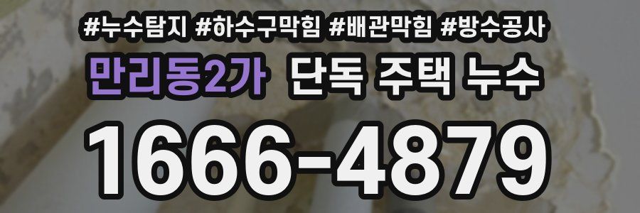 만리동2가 단독 주택 누수