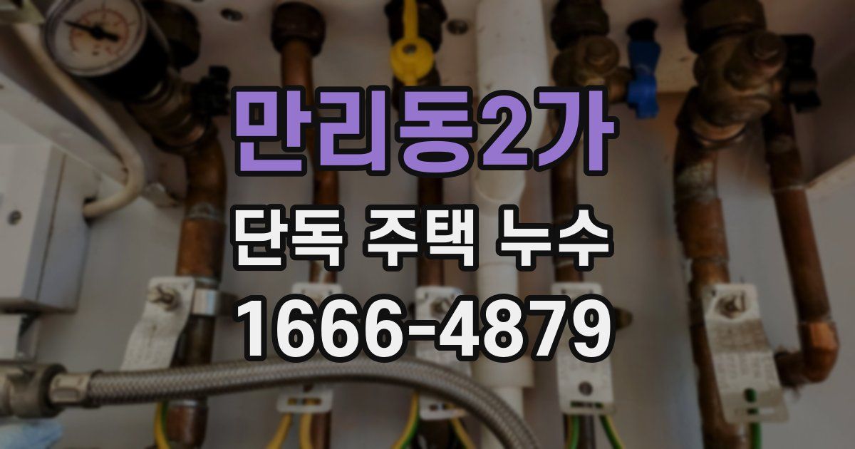 만리동2가 단독 주택 누수