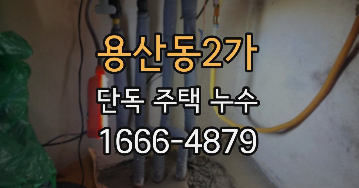 용산동2가 단독 주택 누수