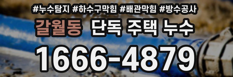 갈월동 단독 주택 누수
