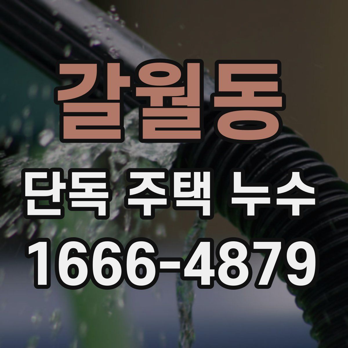 갈월동 단독 주택 누수