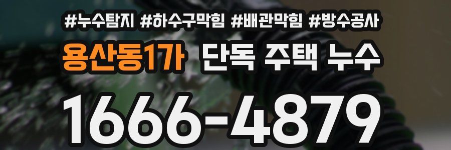 용산동1가 단독 주택 누수