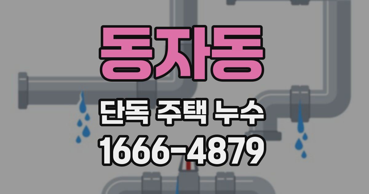 동자동 단독 주택 누수