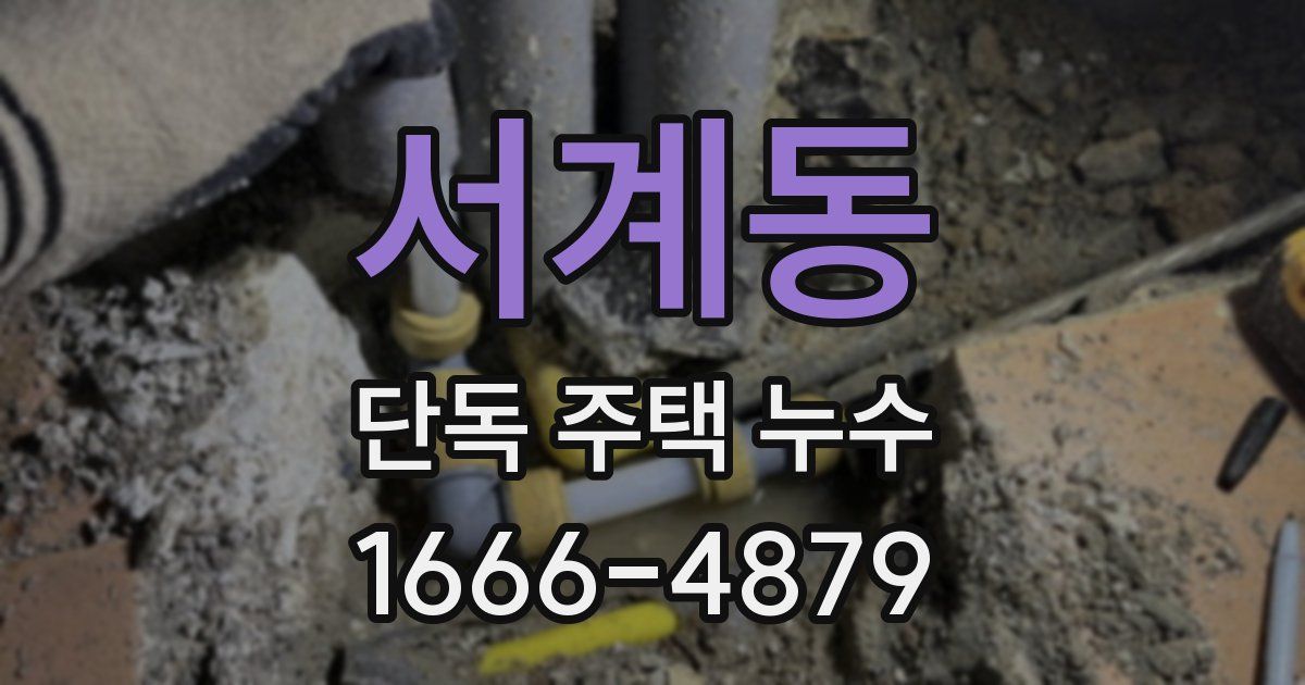 서계동 단독 주택 누수