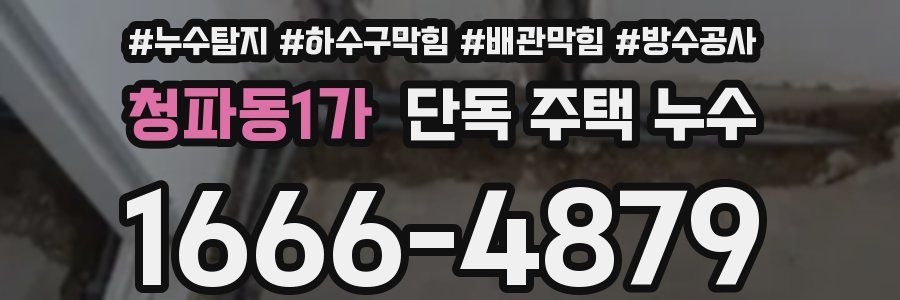 청파동1가 단독 주택 누수