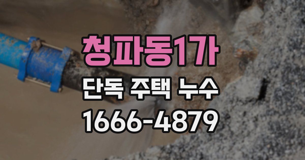 청파동1가 단독 주택 누수