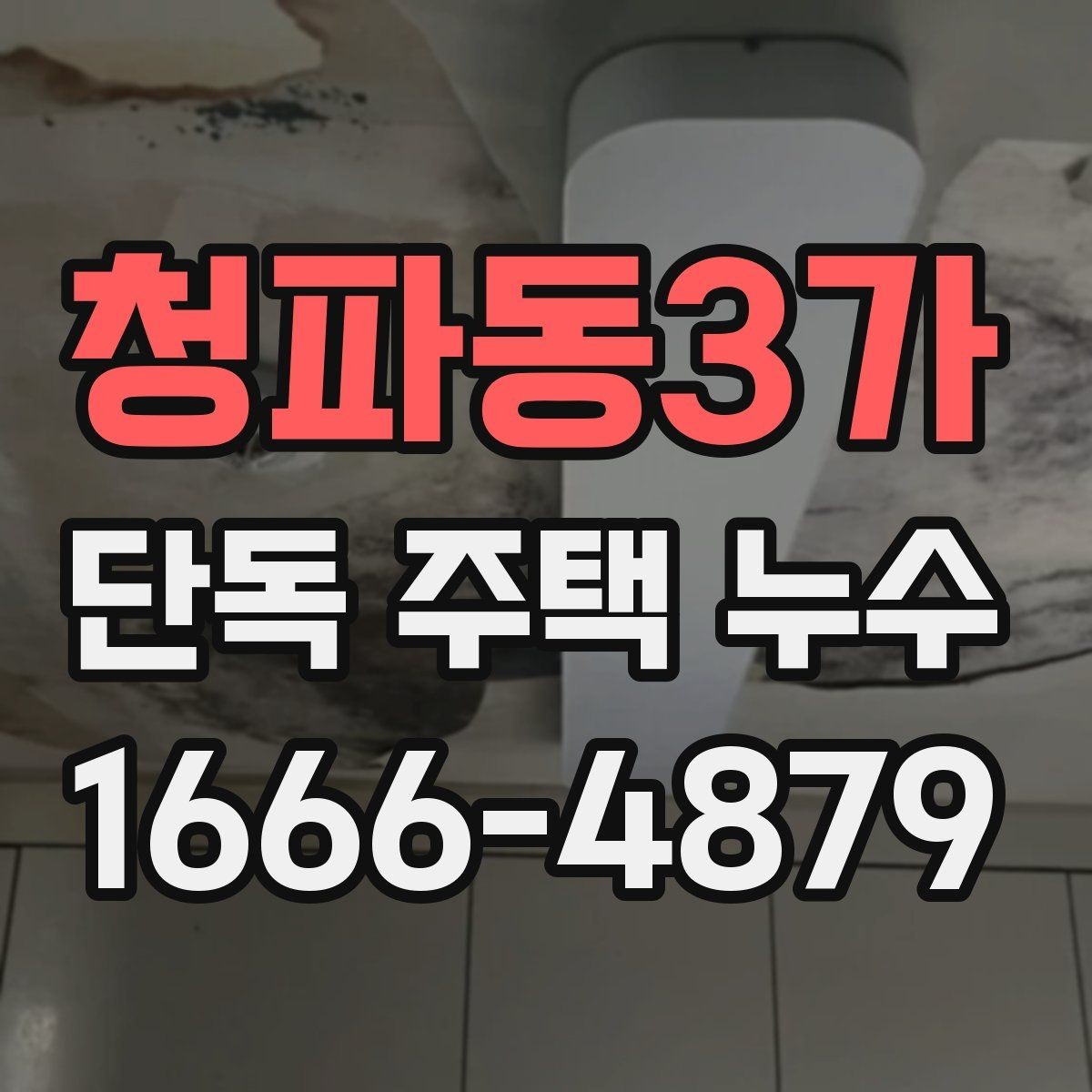 청파동3가 단독 주택 누수 진단이 늦어지면 생기는 일