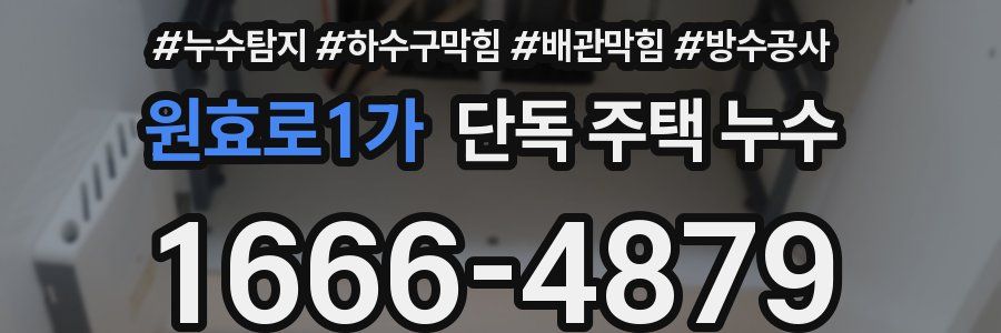 원효로1가 단독 주택 누수