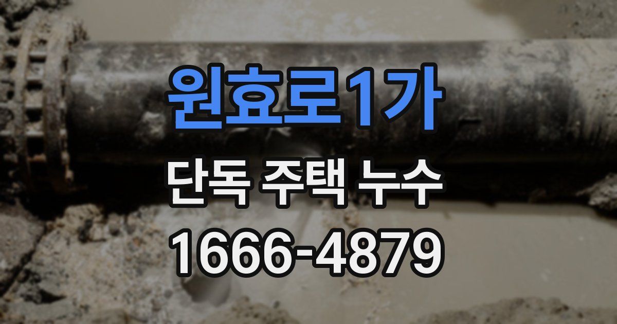 원효로1가 단독 주택 누수